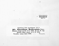 Pseudopeziza medicaginis image